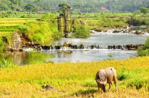 Pu Luong Nature Reserve Beauty