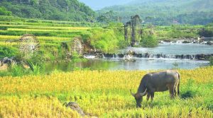 Pu Luong Off The Beaten Track